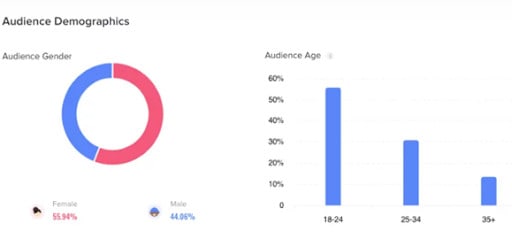 TikTok demographics breakdown screen