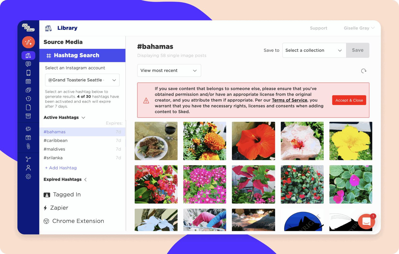 Sked Social's hashtag search feature showing example search for flowers hashtag