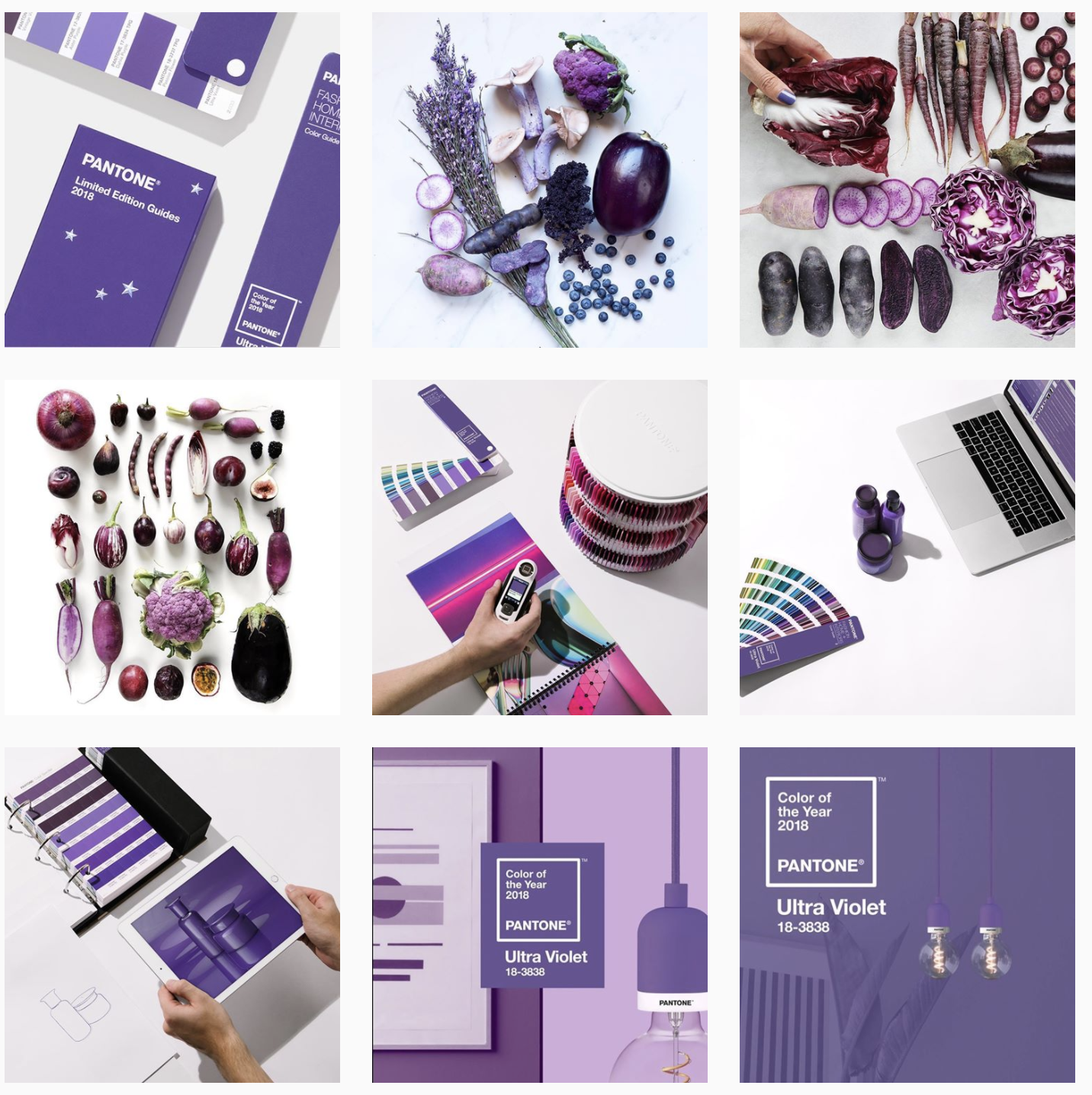 Instagram Feed Ideas: Brand Colors - Schedugram